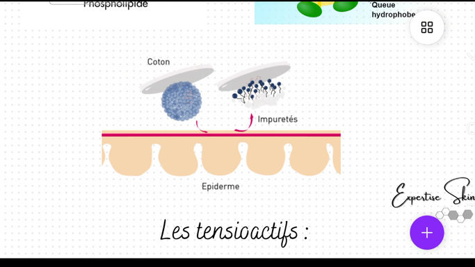 Les micelles